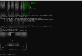 Final Exam Project “Hungry Squirrel” Solved