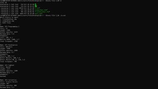 COP3503 Lab 5 - Binary File IO Solved