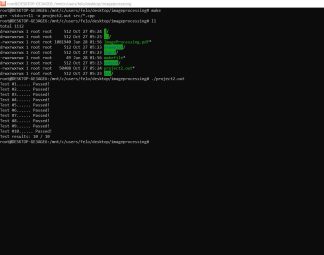 COP3503 Project 2 – Image Processing Solution