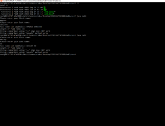 CSE 110 - Lab 2 Solved