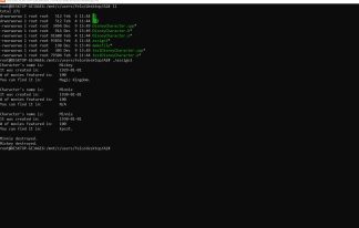 PROG1385 – A-02 : THE DISNEYCHARACTER CLASS Solved