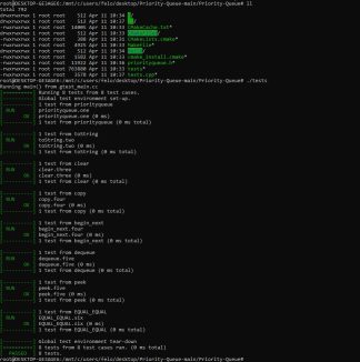 CS251 Project 5 – Priority Queue Solved